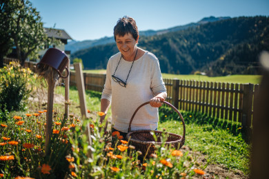 Die Kraft wilder Bergkräuter