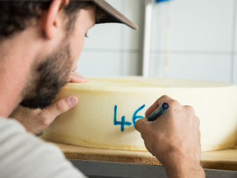 Bester Bergkäse Im Gewölbekeller gereift