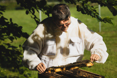 Die Gaben der Bienen